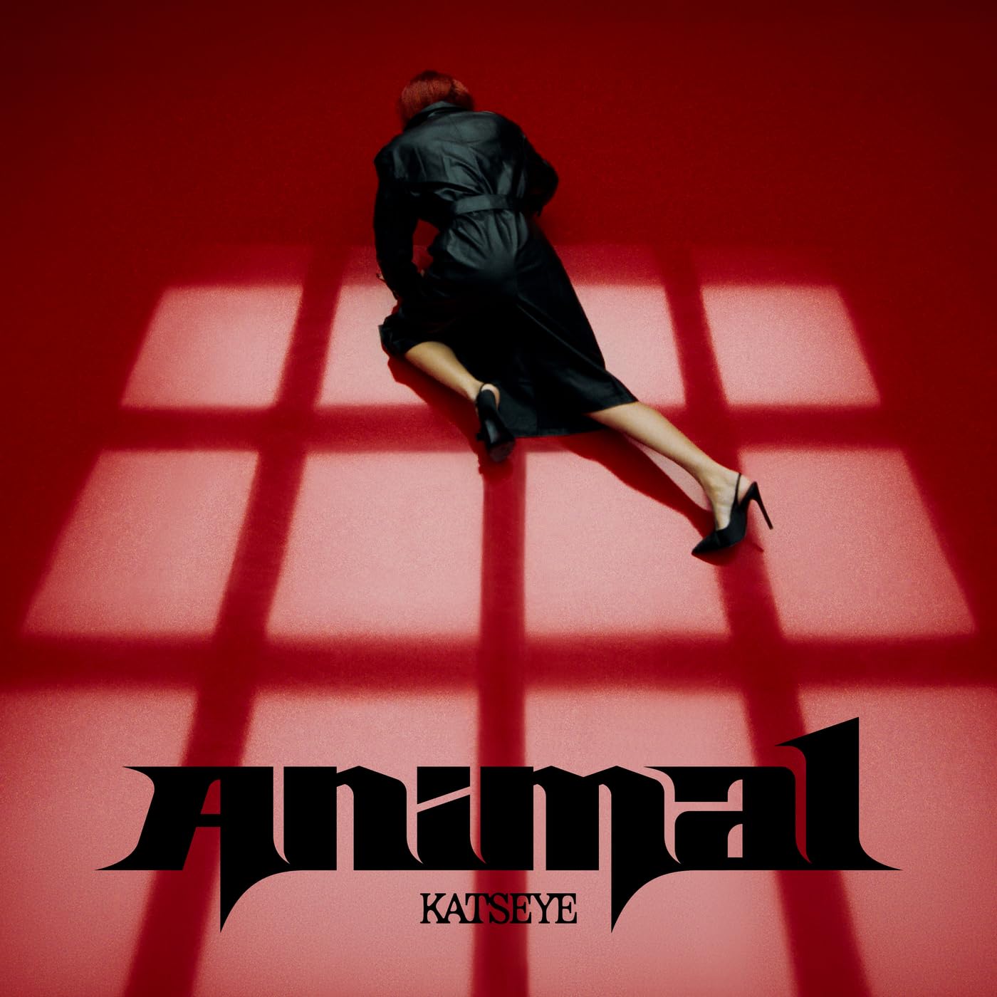 Cover Animal